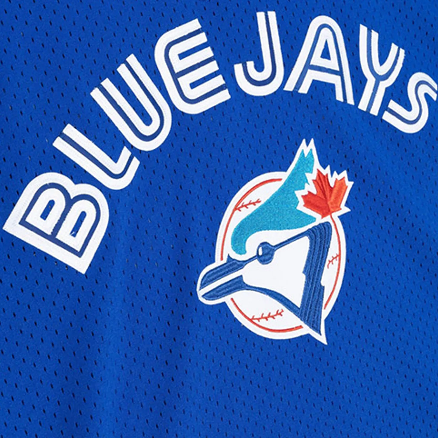 Authentic Joe Carter Toronto Blue Jays MLB 1993 Pullover Jersey